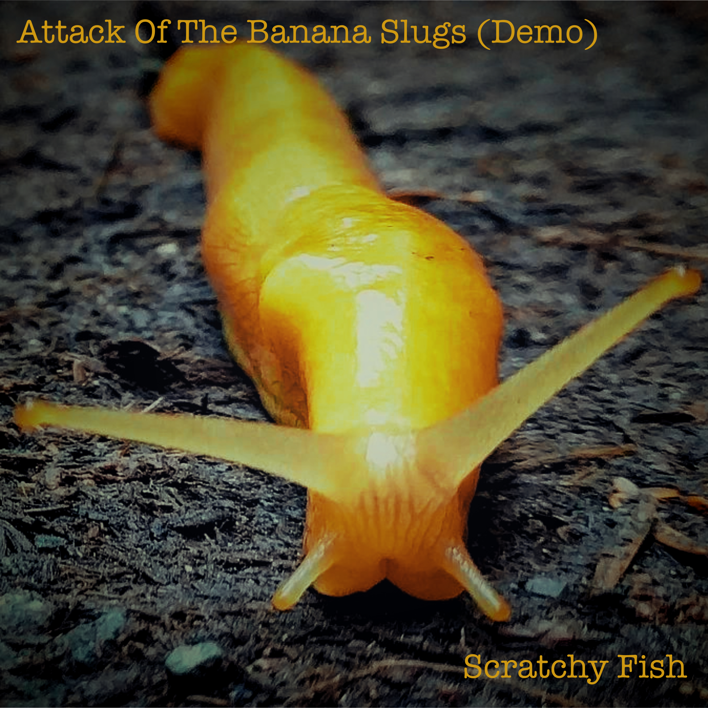 Attack of the Banana Slugs